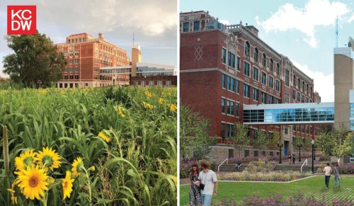 KC Design Week: Betting the (Urban) Farm