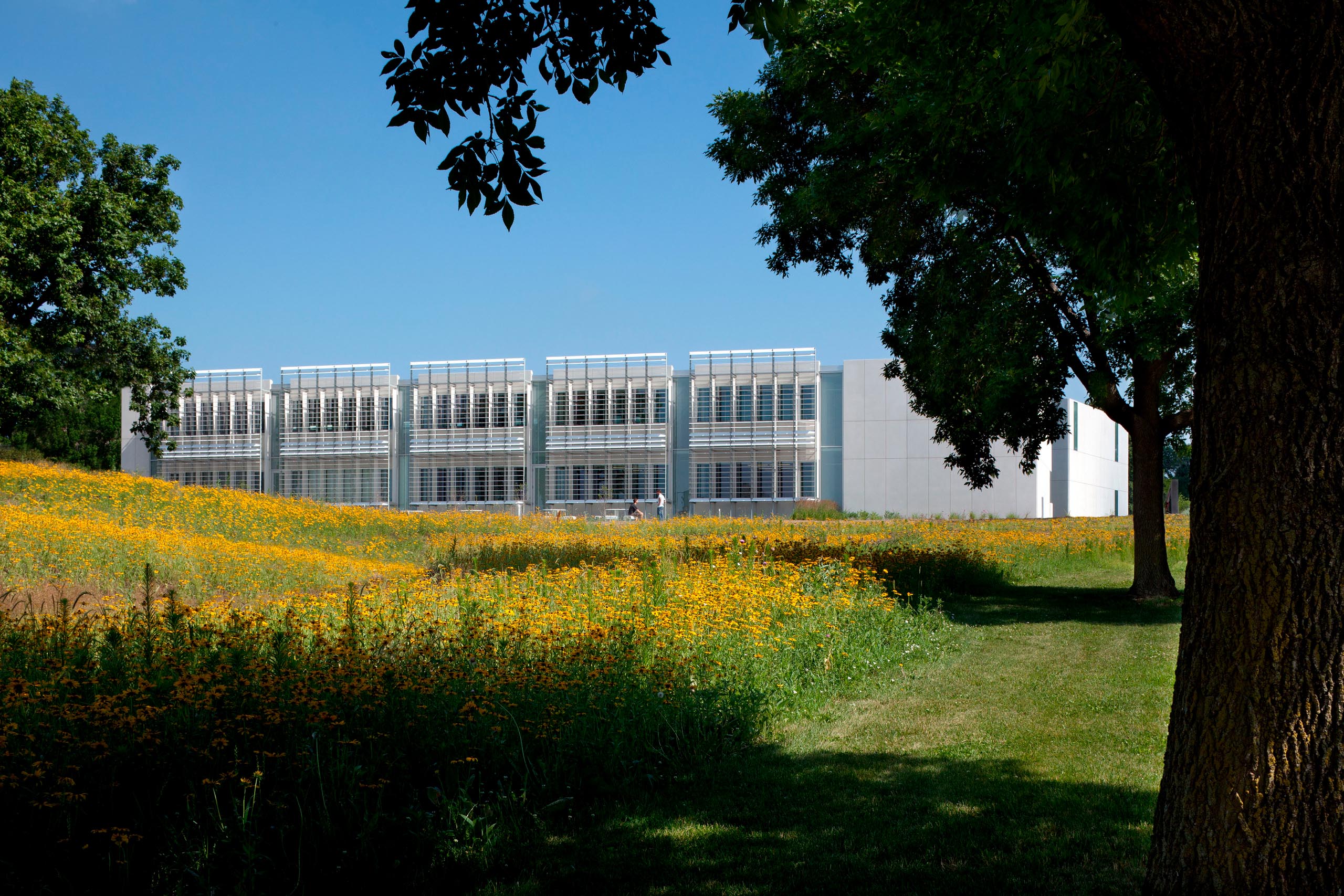 Iowa Utilities Board - Landscape