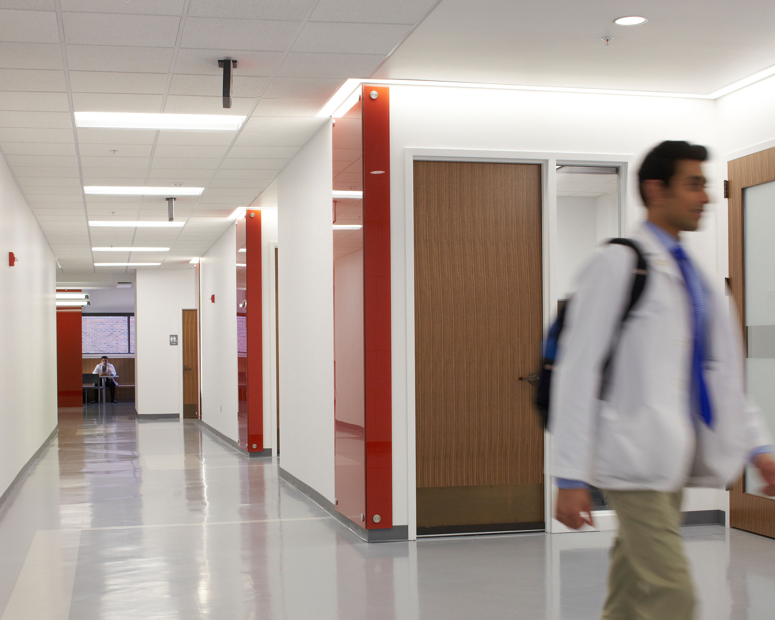 School of Medicine Renovation