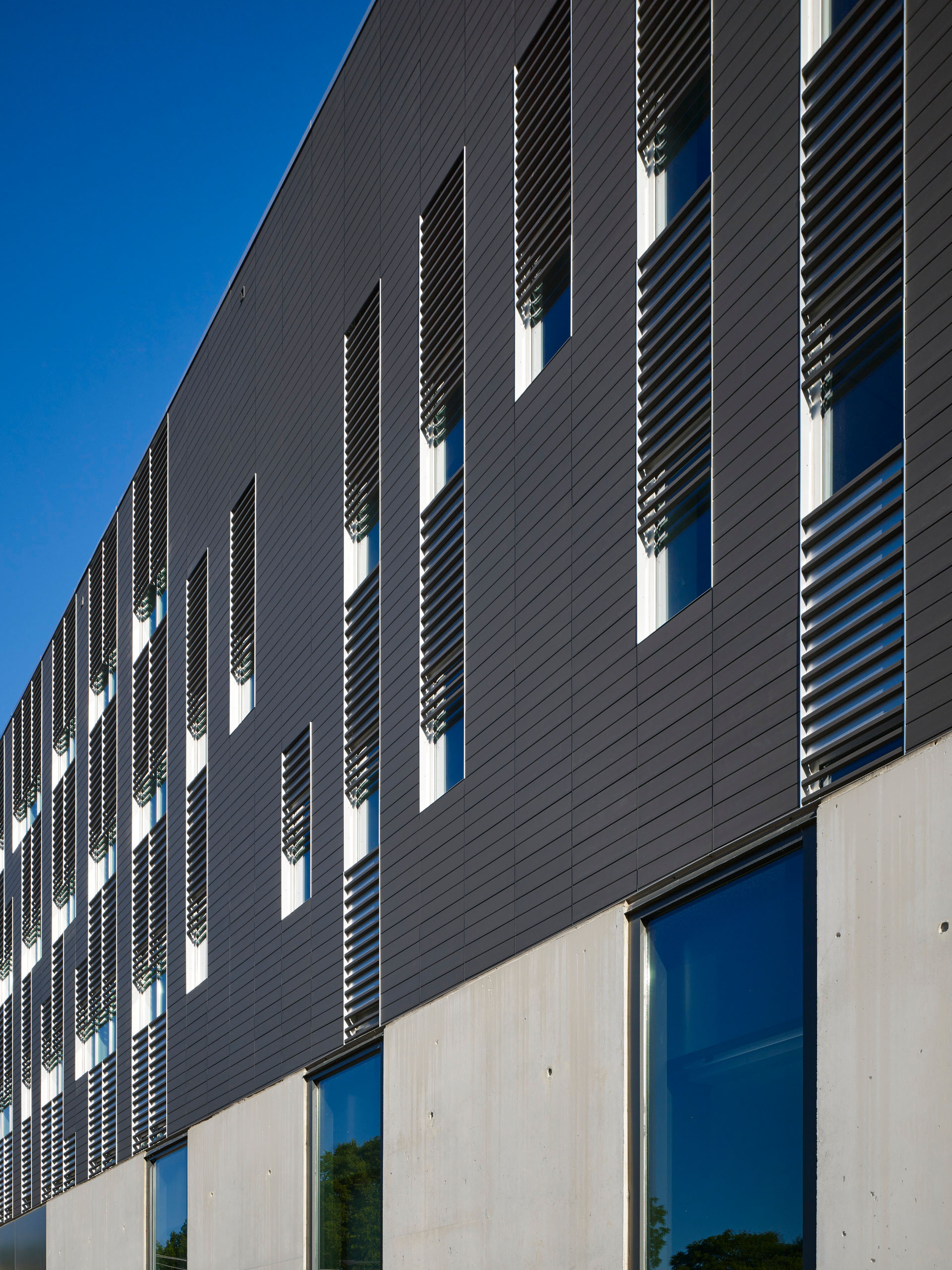 Psychological and Brain Sciences Building