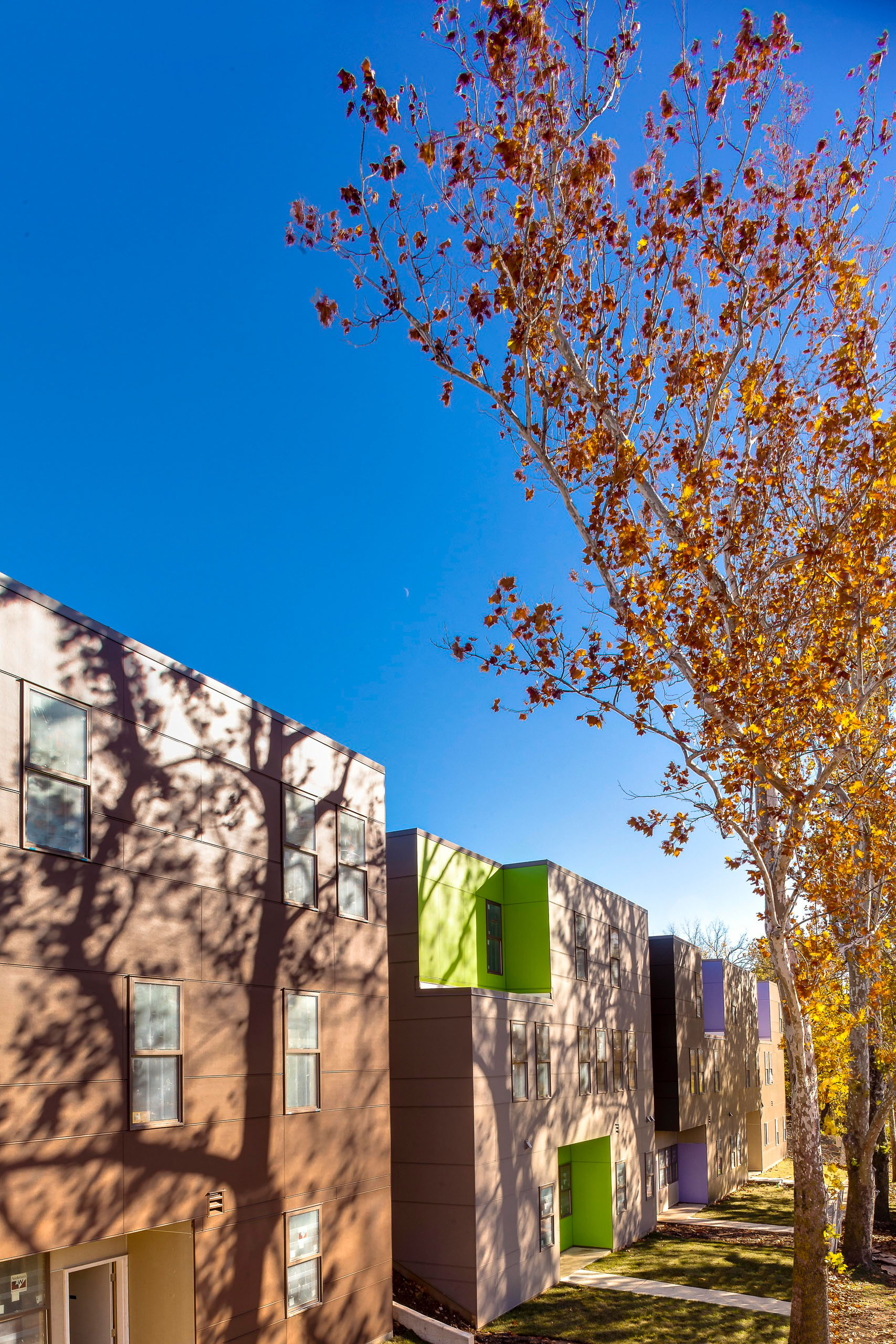 Bancroft School Redevelopment