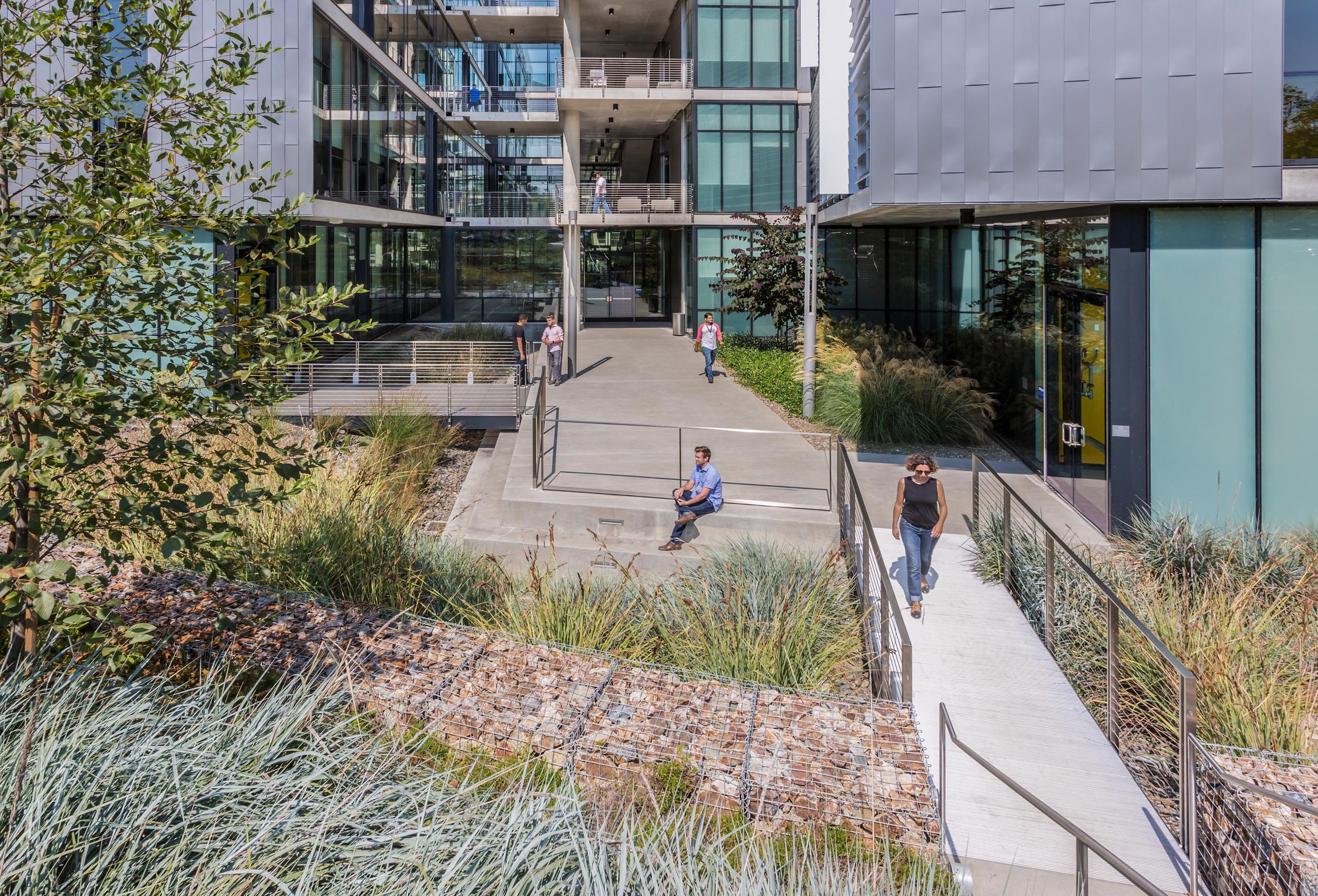 PCC Research and Development Building - Landscape