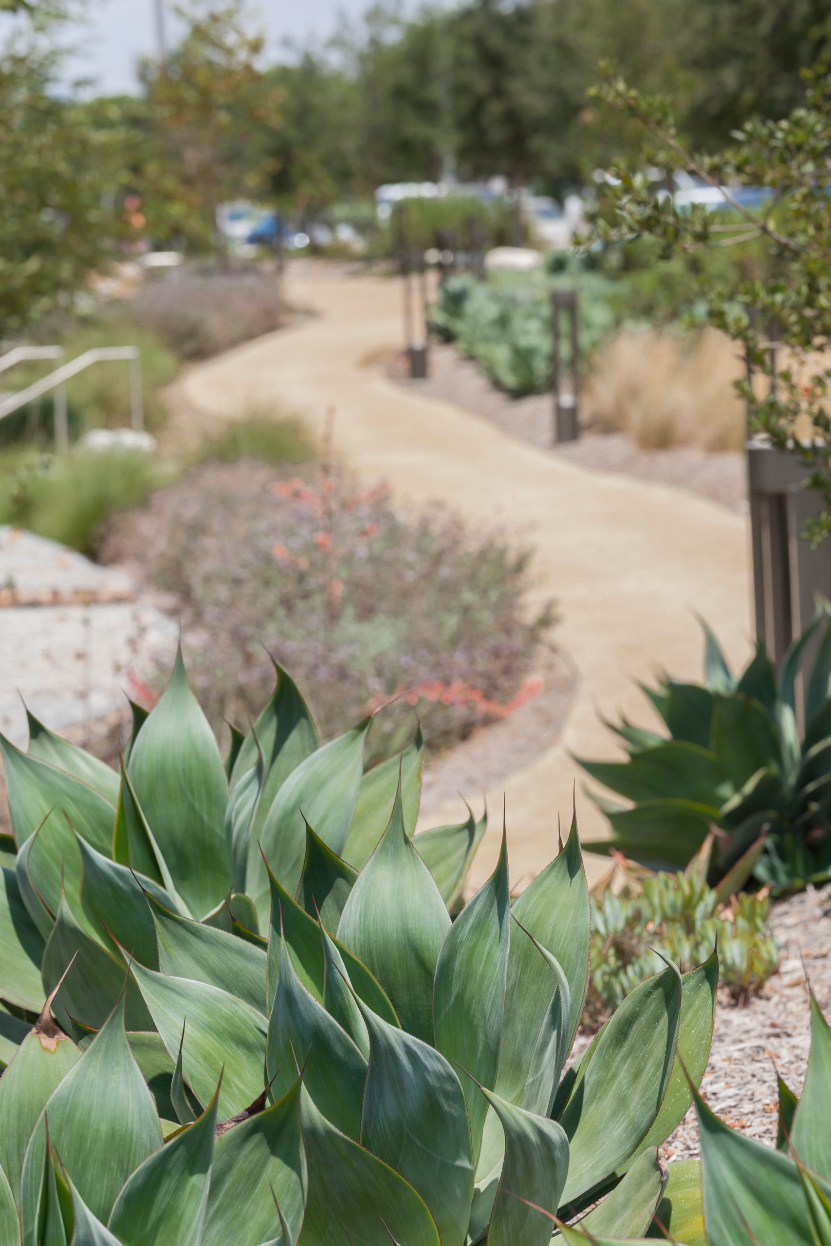 PCC Research and Development Building - Landscape