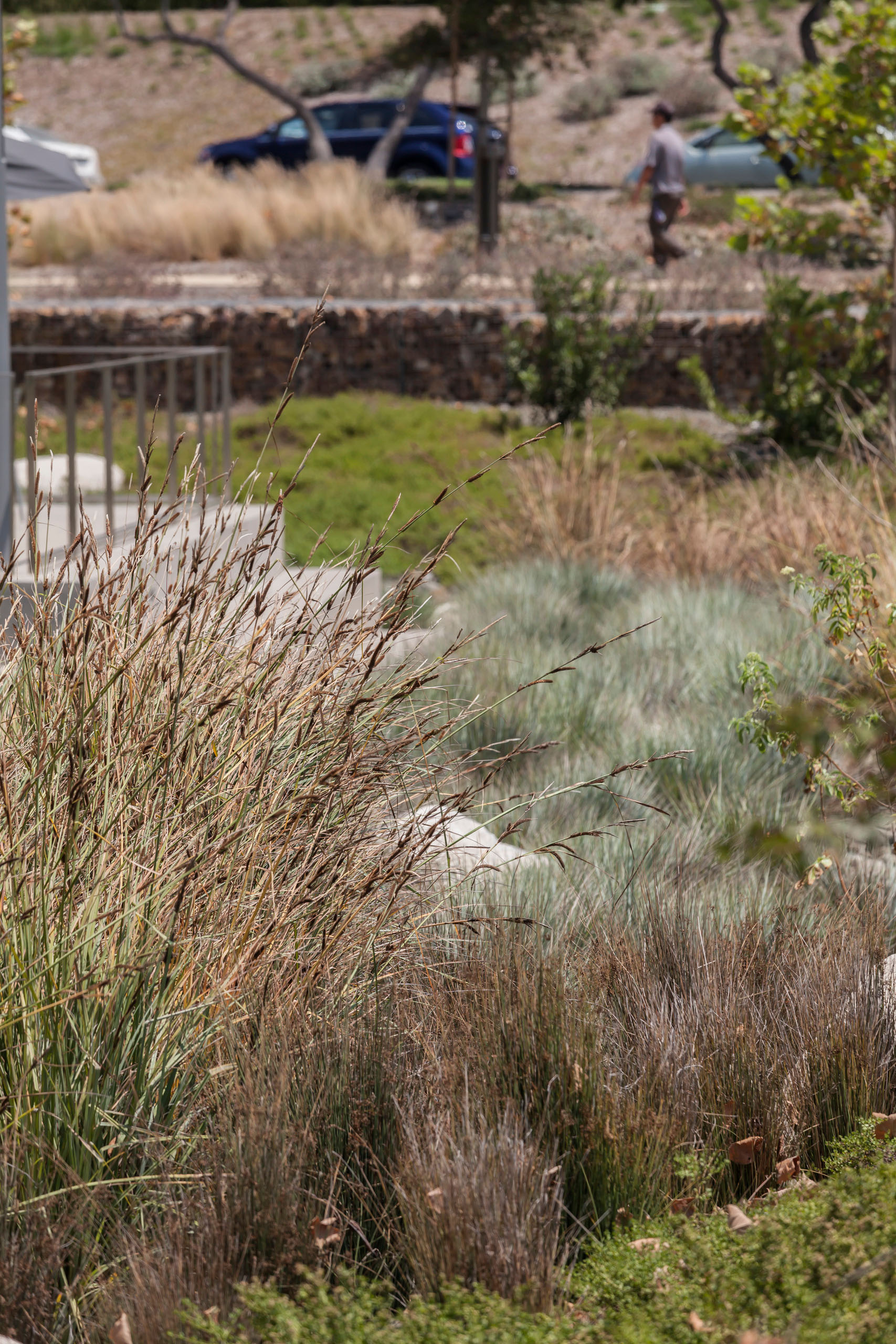 PCC Research and Development Building - Landscape