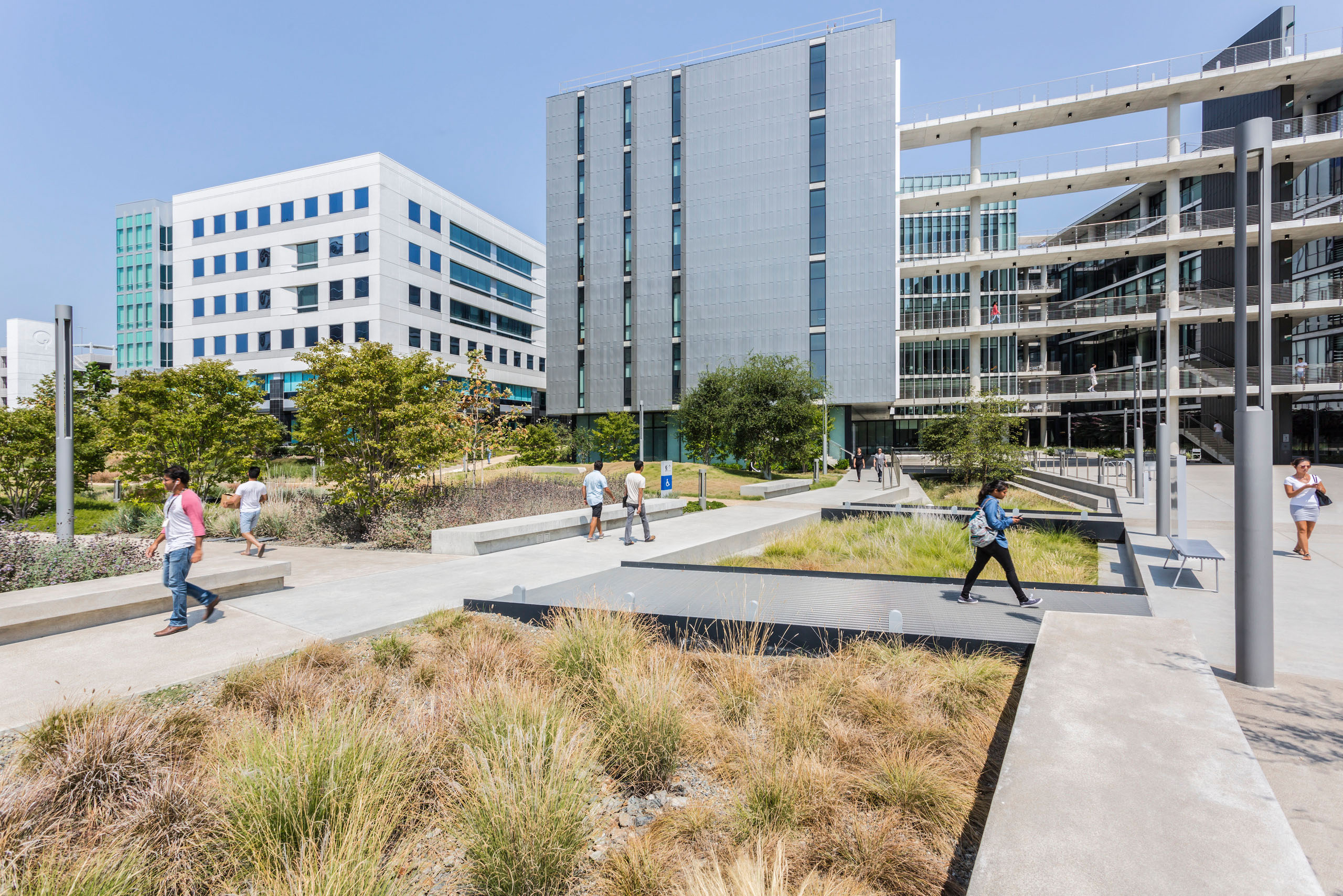 PCC Research and Development Building - Landscape