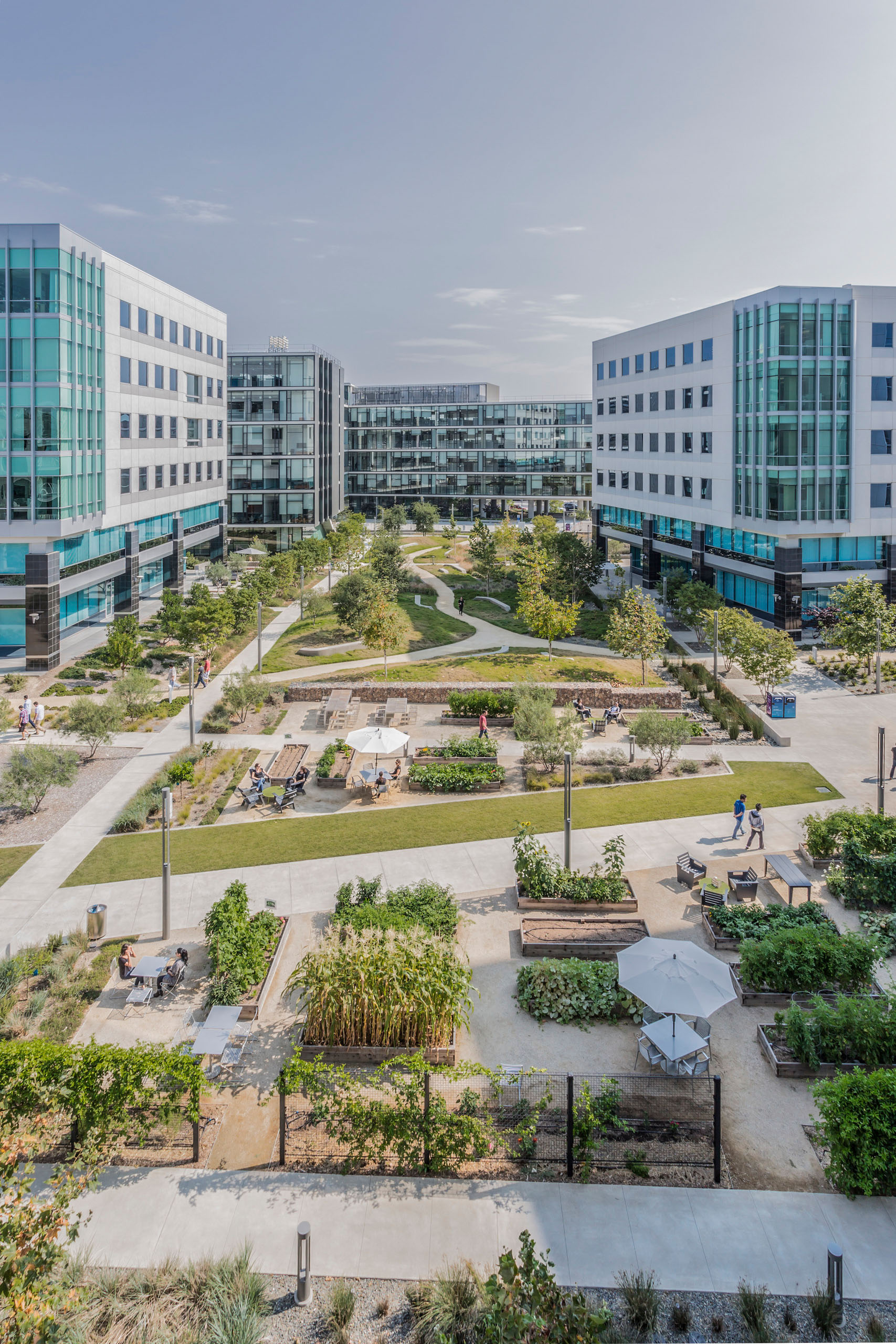 PCC Research and Development Building - Landscape