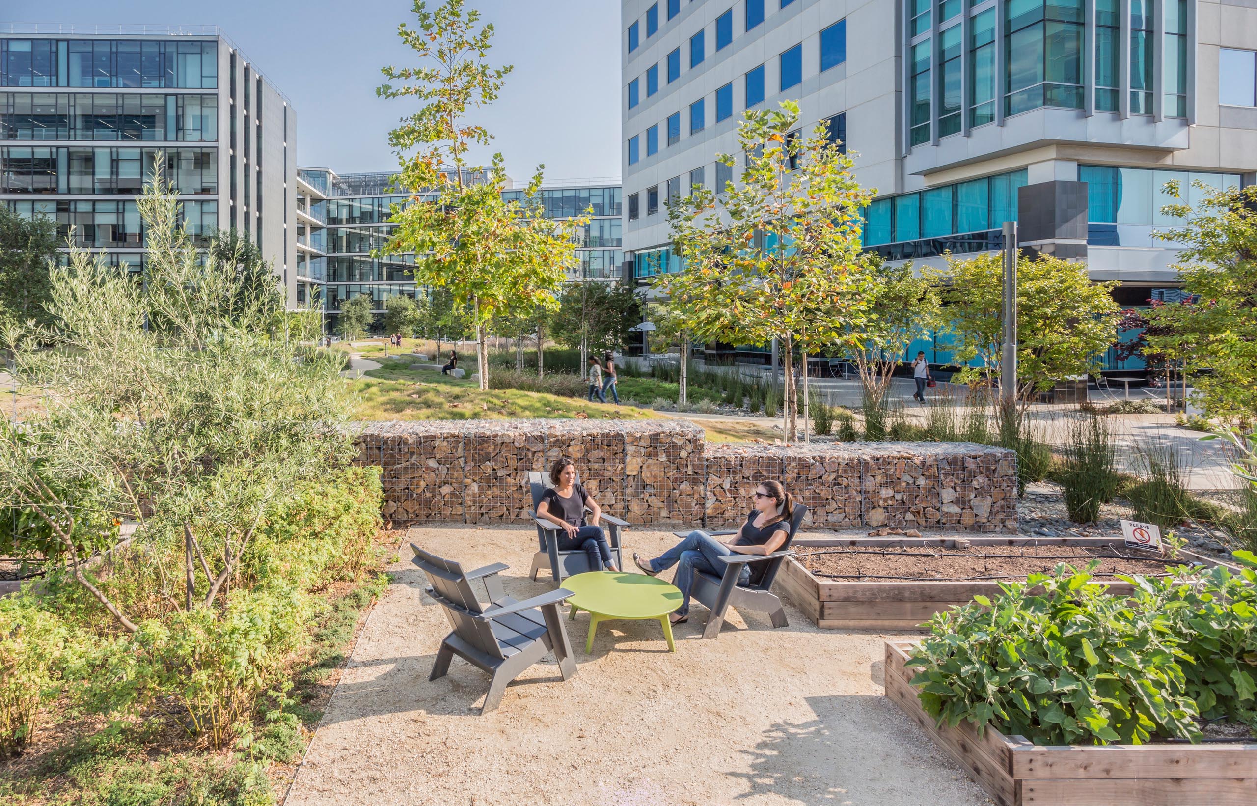 PCC Research and Development Building - Landscape