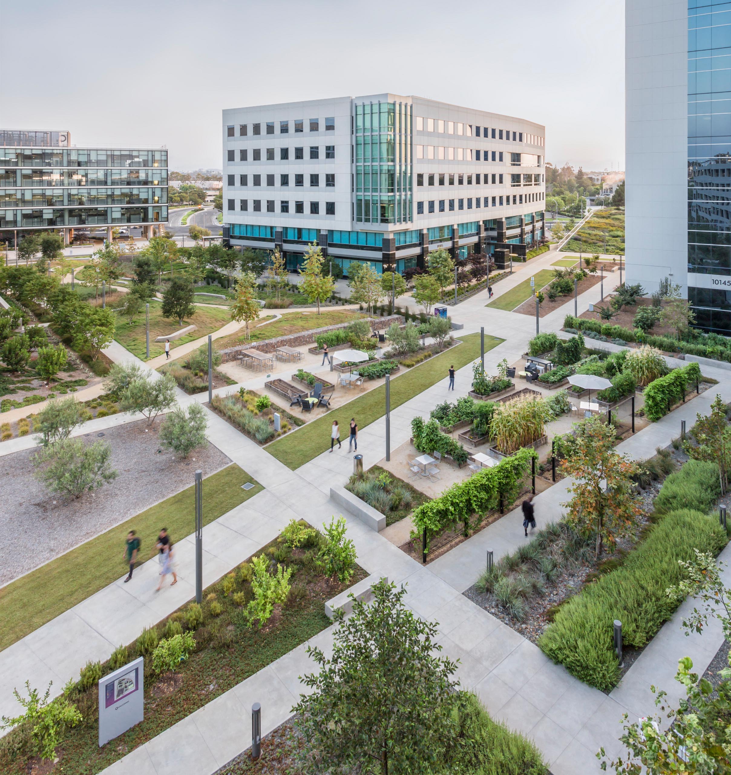 PCC Research and Development Building - Landscape