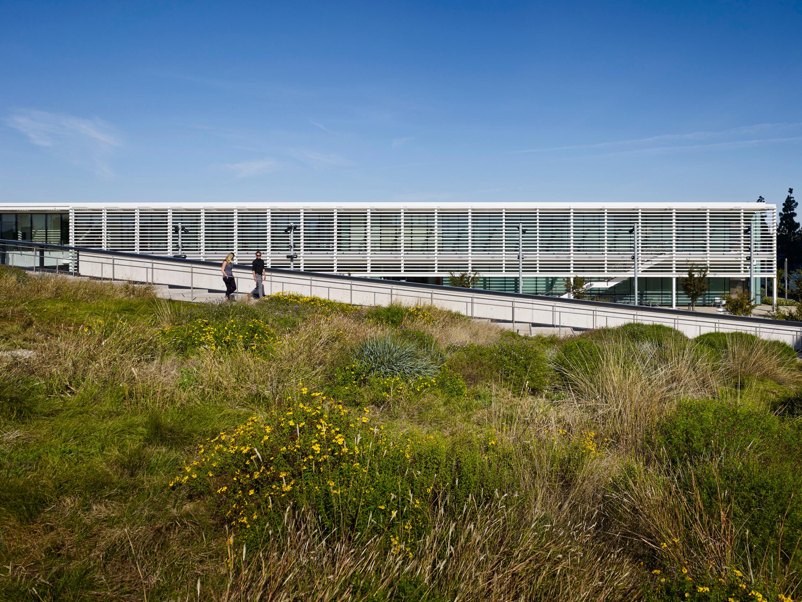 PCC Amenities Building - Landscape