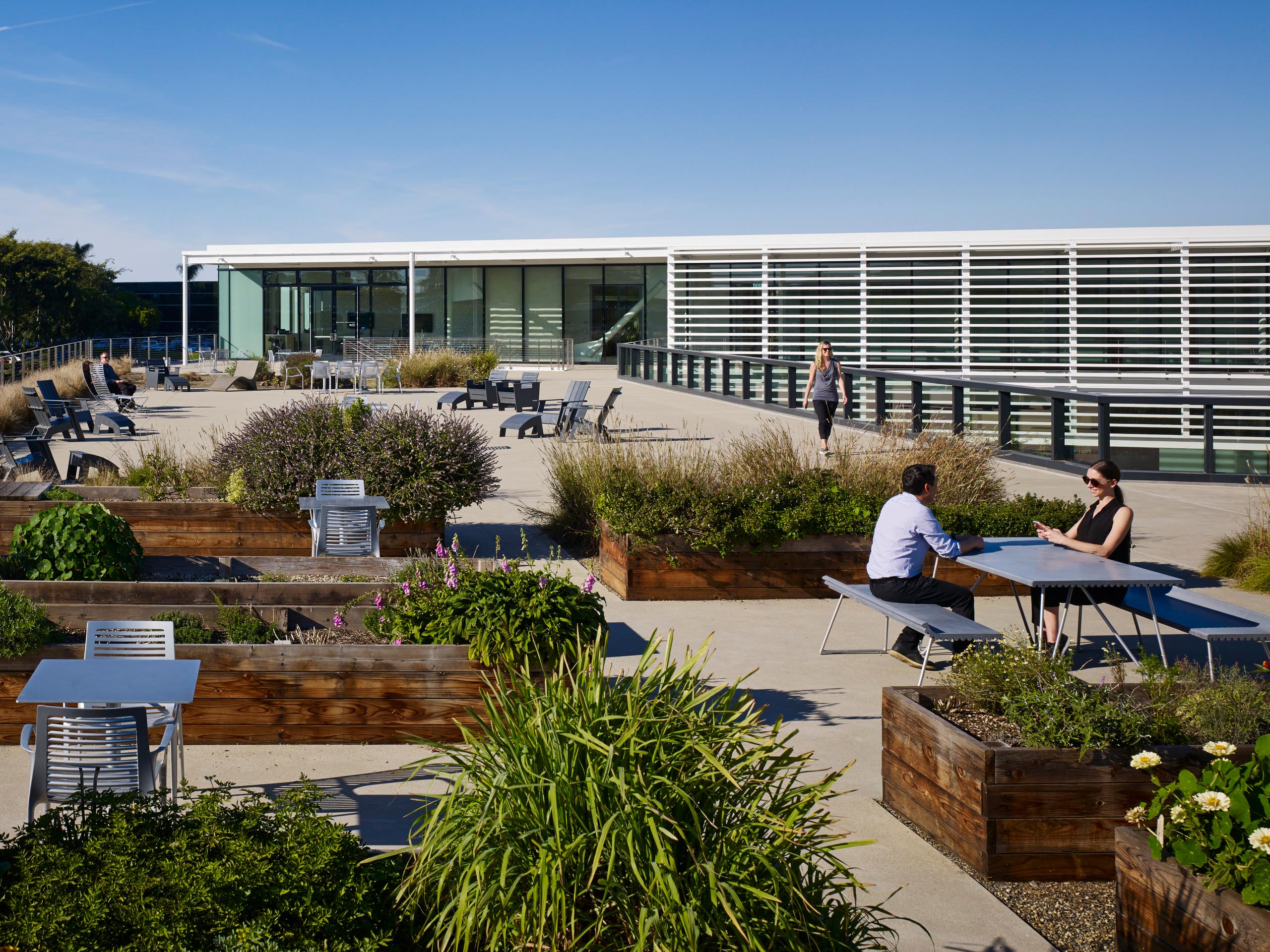 PCC Amenities Building - Landscape