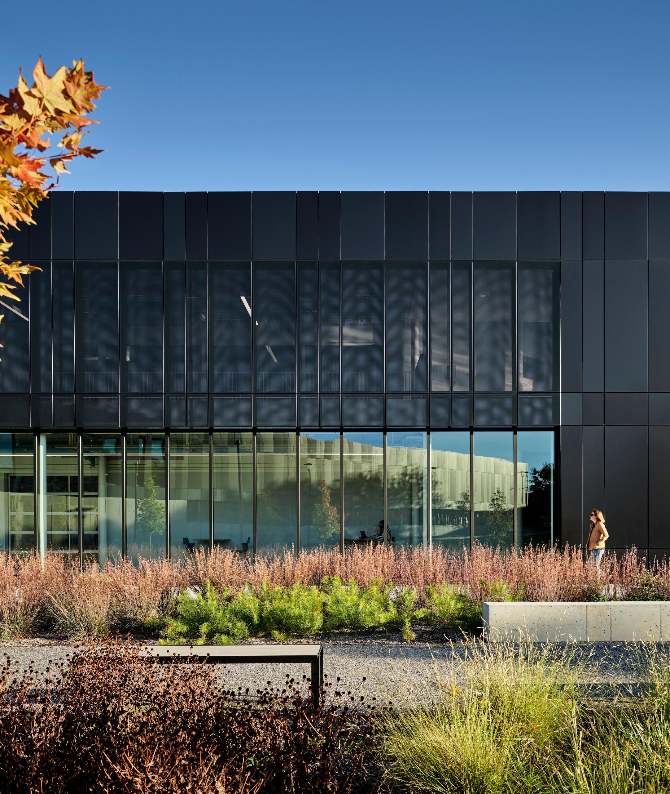 Career and Technical Education Building - Landscape