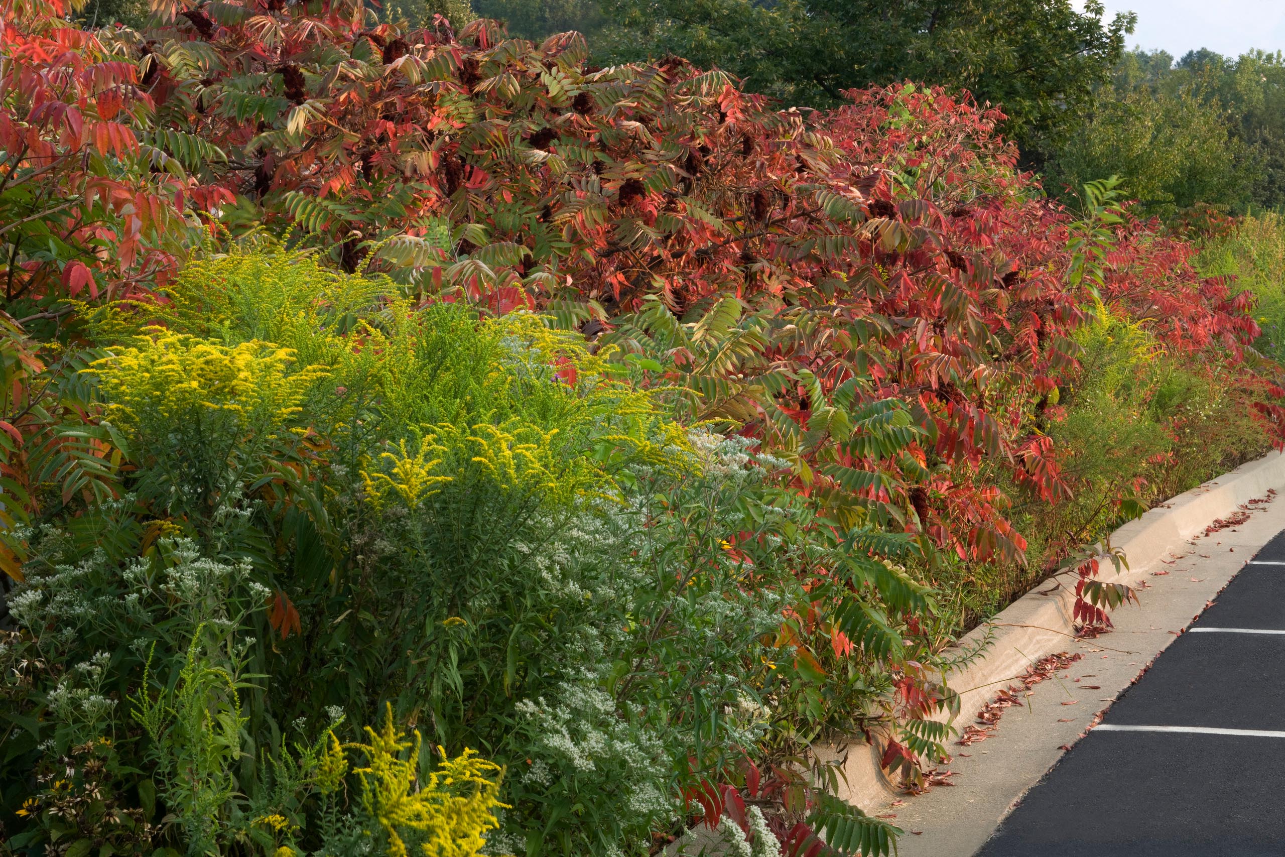 Anita B. Gorman Conservation Discovery Center