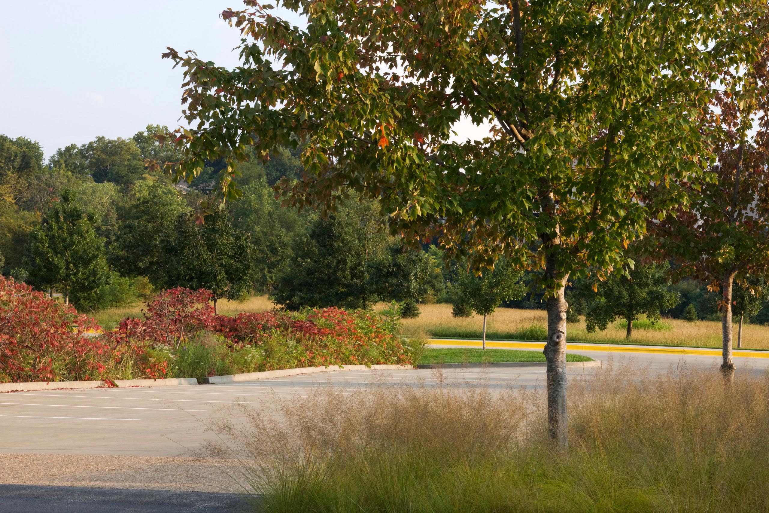 Anita B. Gorman Conservation Discovery Center