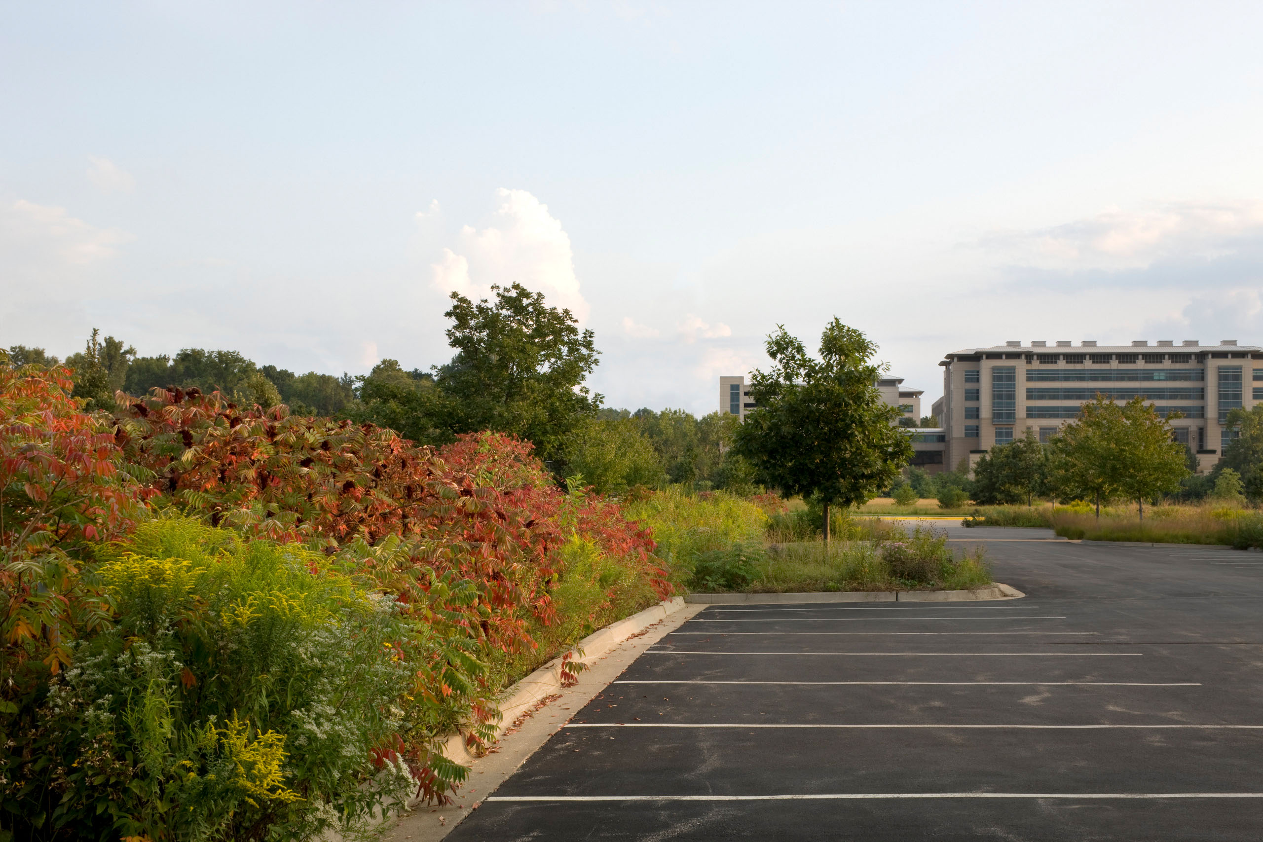 Anita B. Gorman Conservation Discovery Center