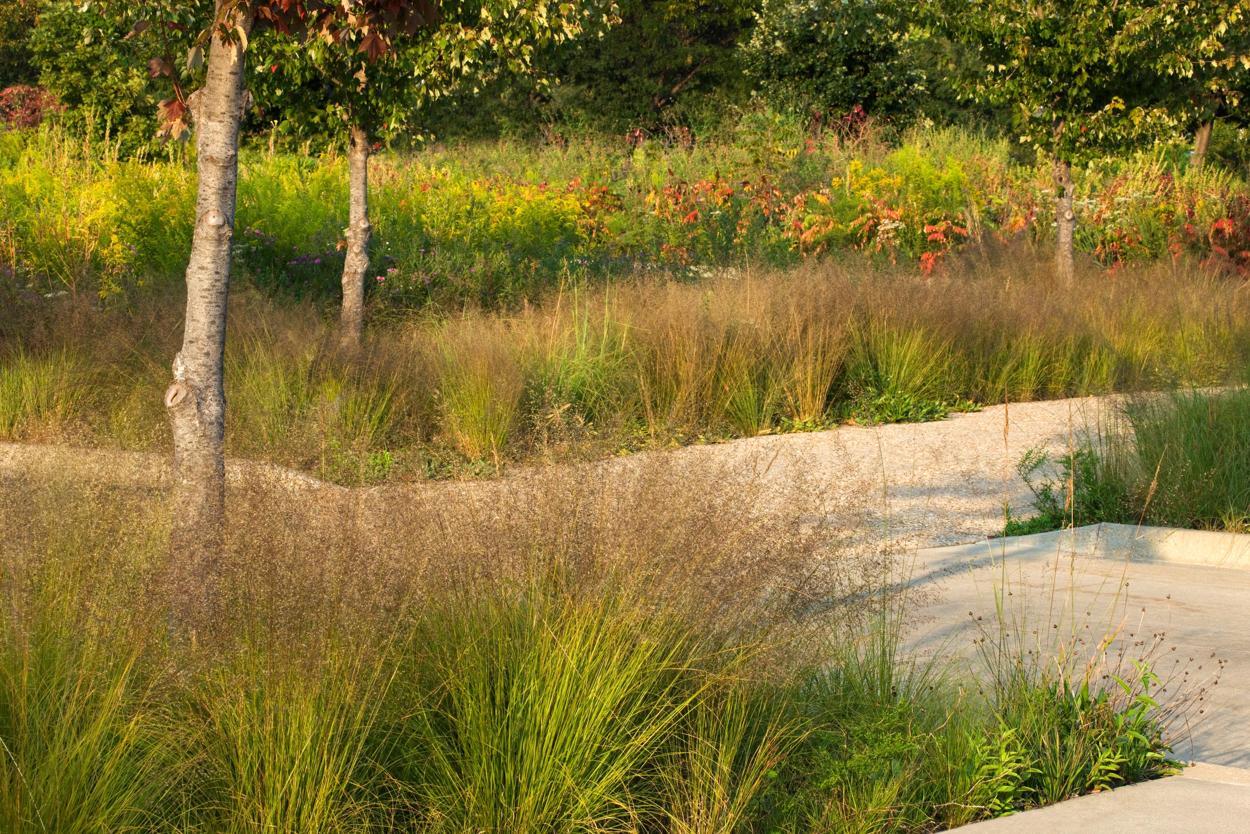 Anita B. Gorman Conservation Discovery Center