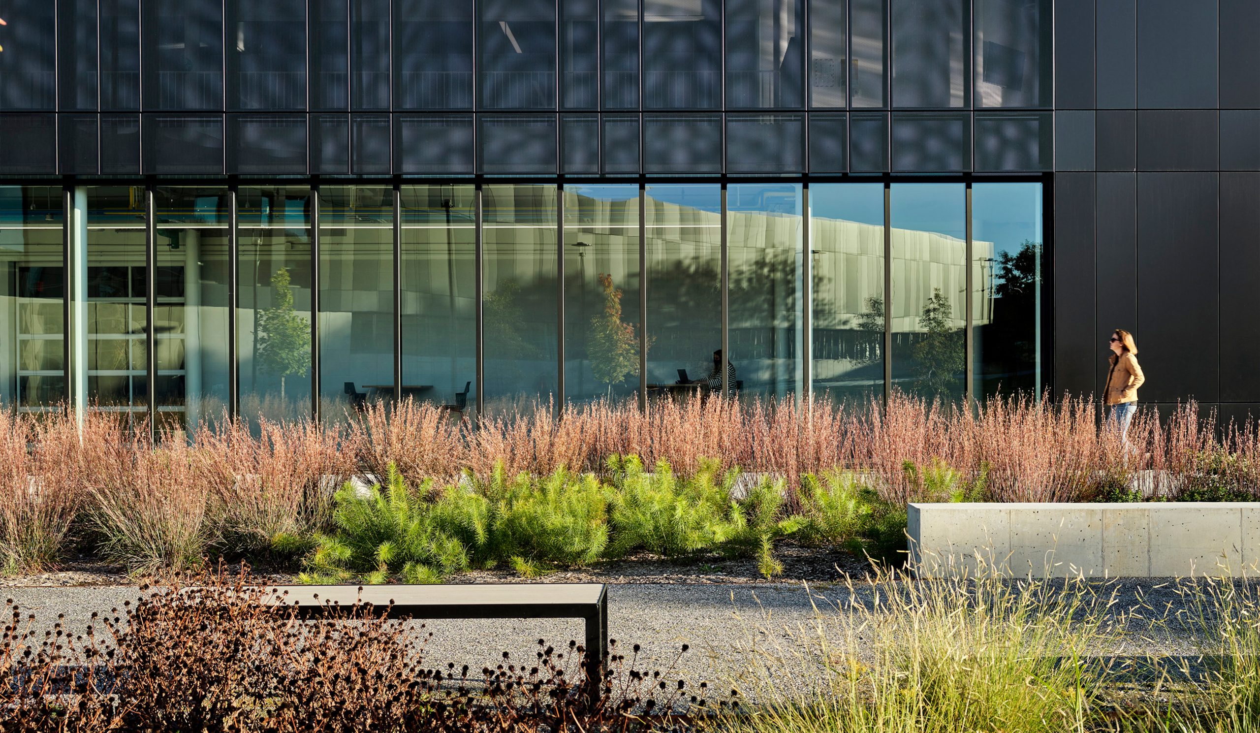 Career and Technical Education Building - Landscape