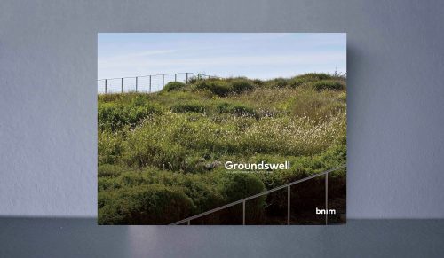 Groundswell