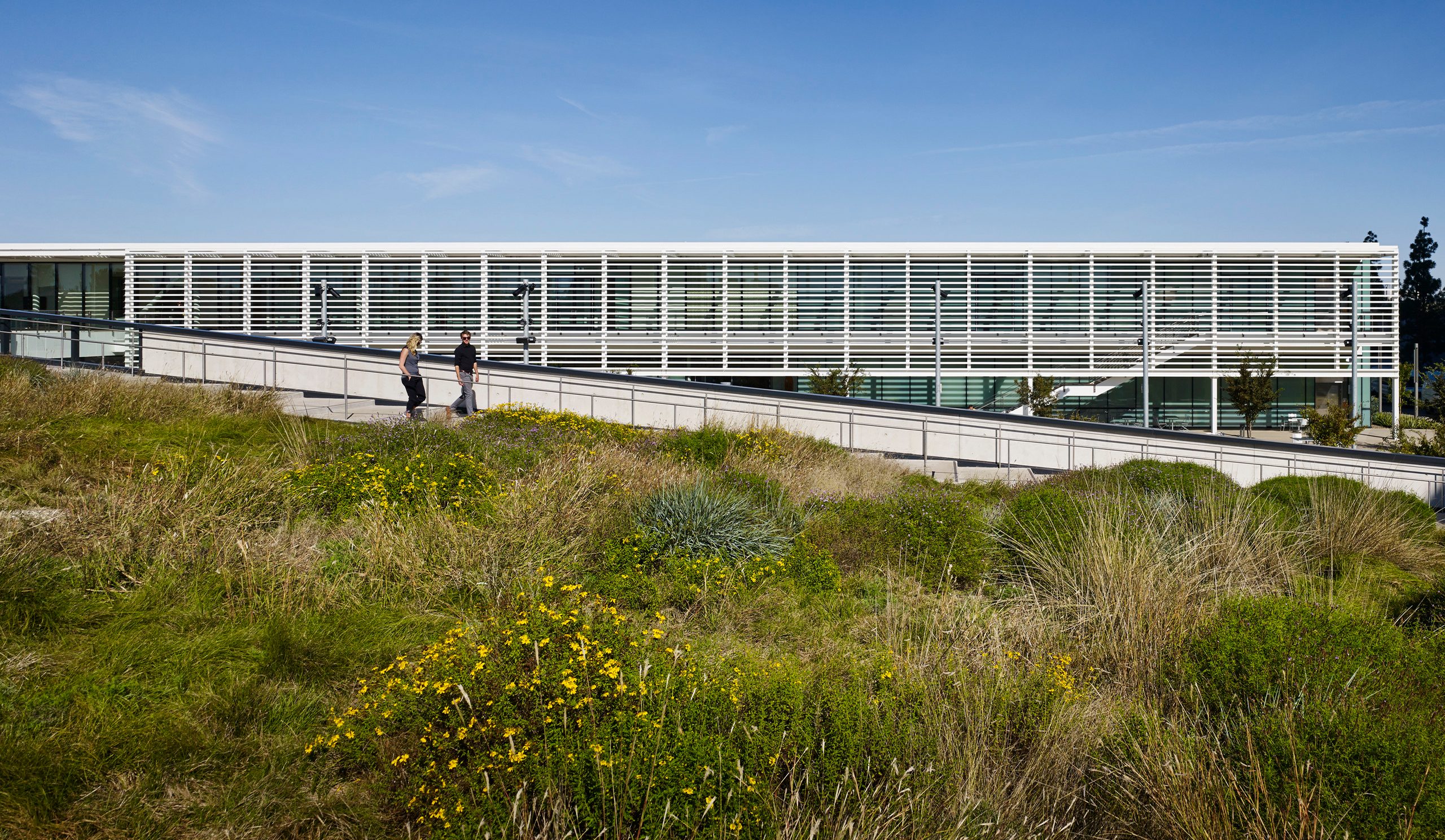 PCC Amenities Building - Landscape