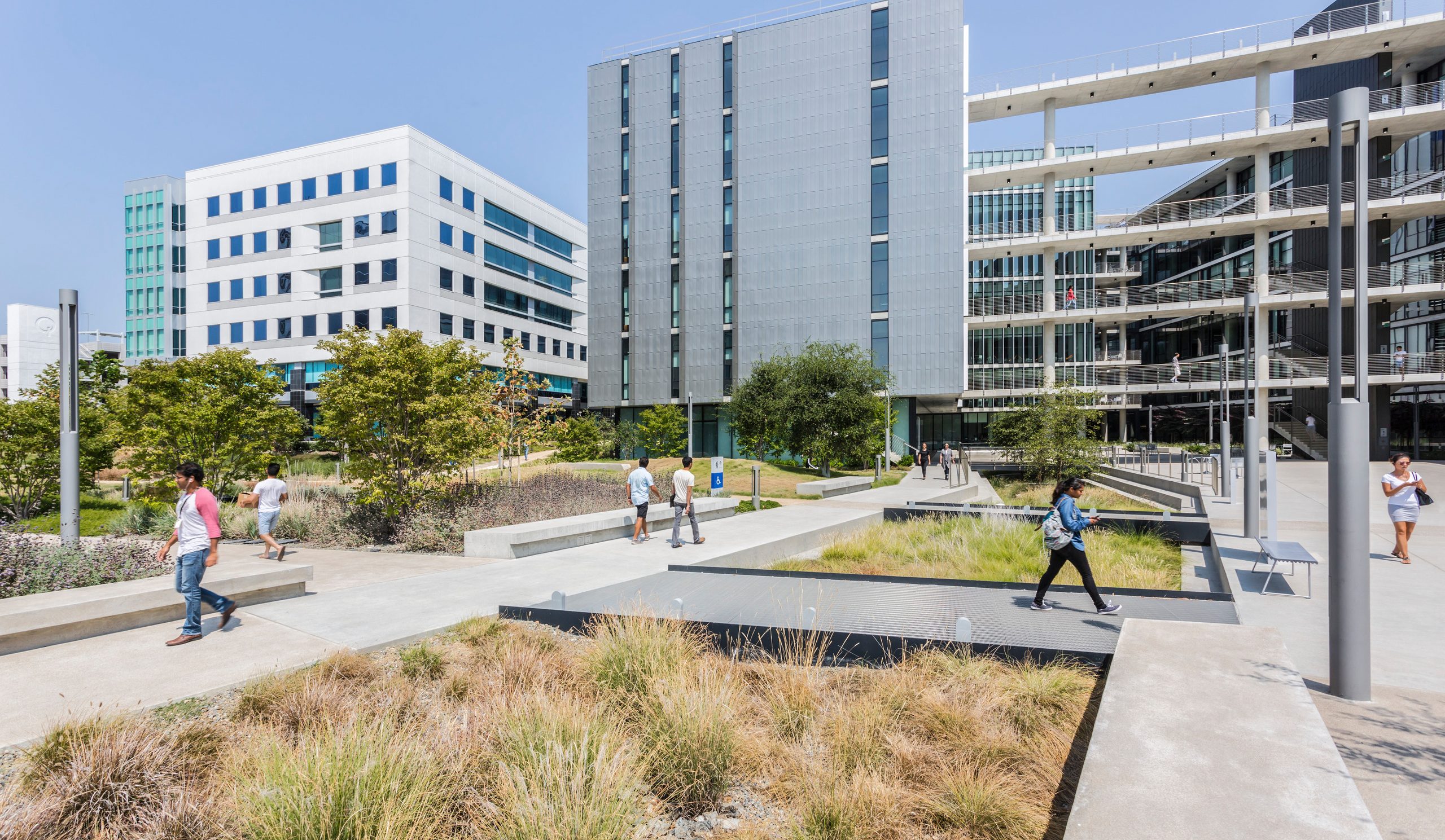 PCC Research and Development Building - Landscape