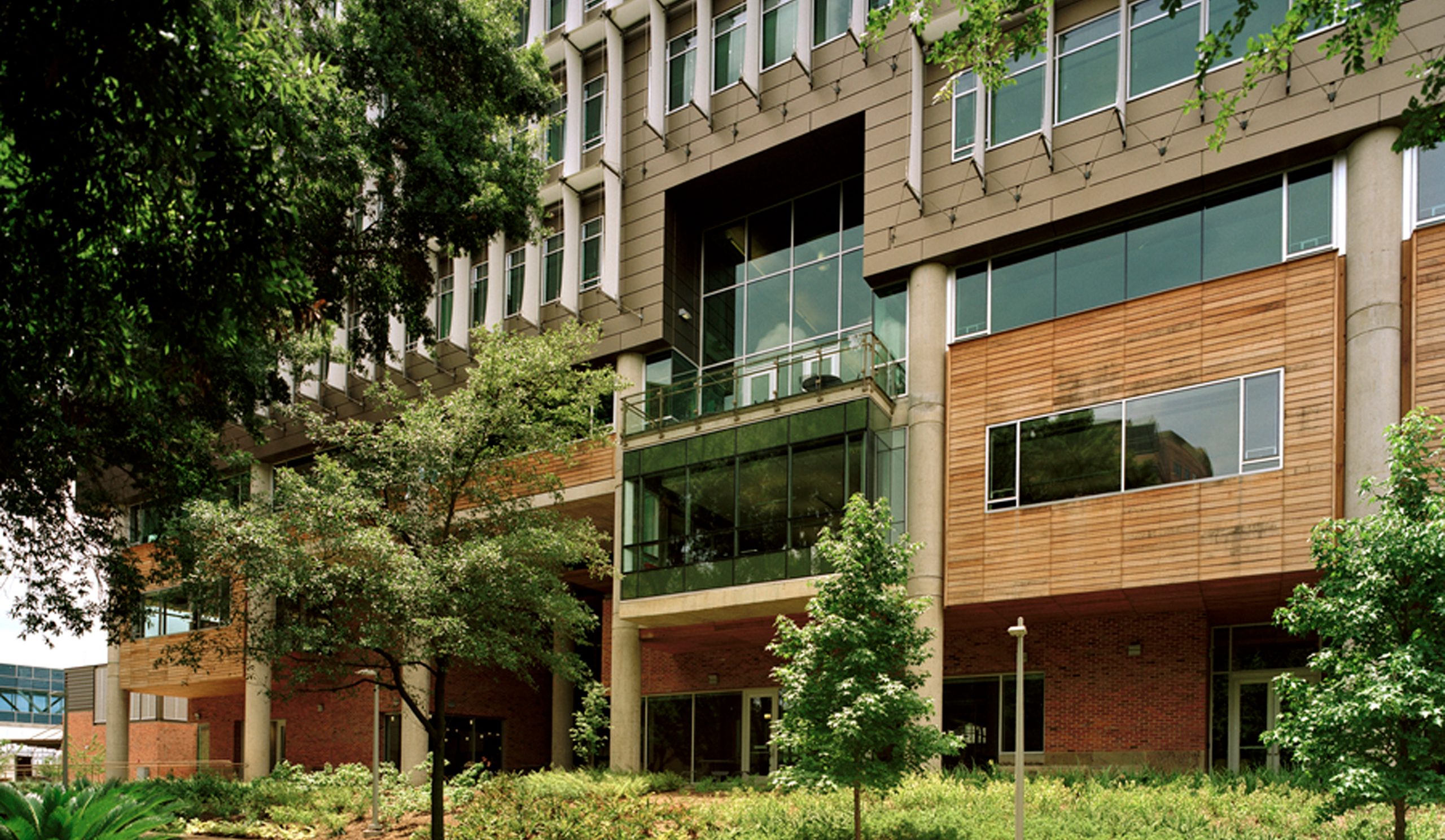 School of Nursing and Student Community Center