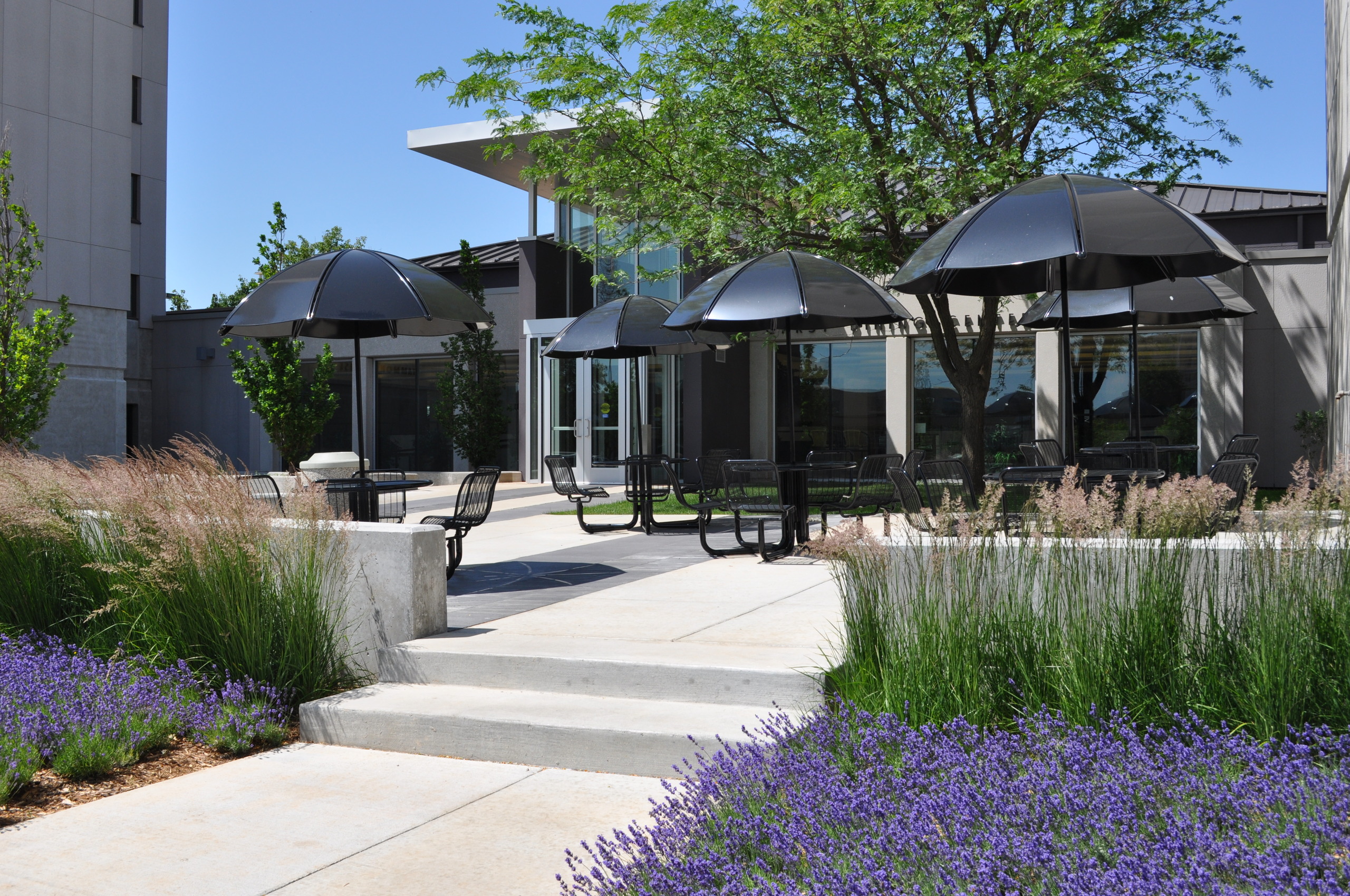 Garst Dining Hall Plaza and Bus Stop