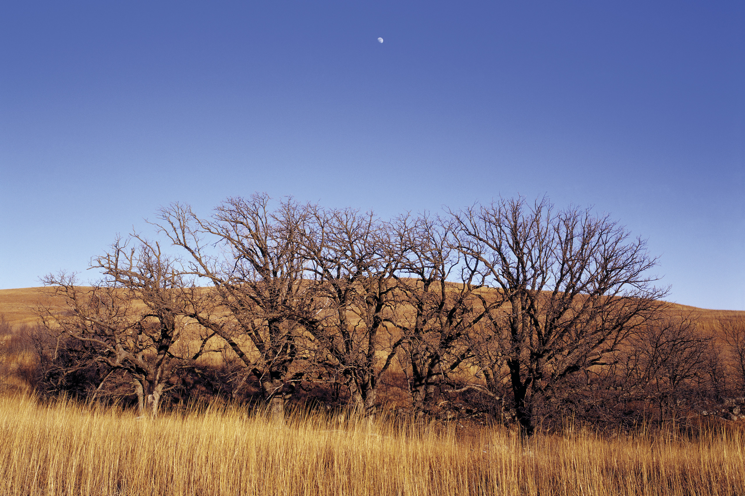  Flint Hills Regional Plan